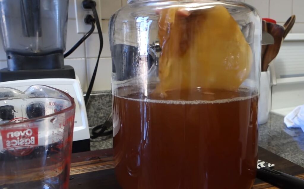 Can You Brew Kombucha in Plastic? BrewingCrafter