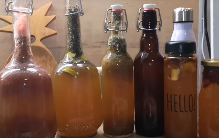 Can You Drink Too Much Kombucha?