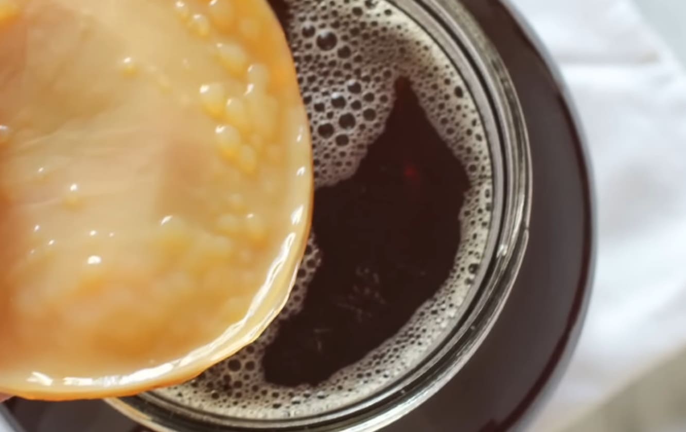 Does Kombucha Have Electrolytes