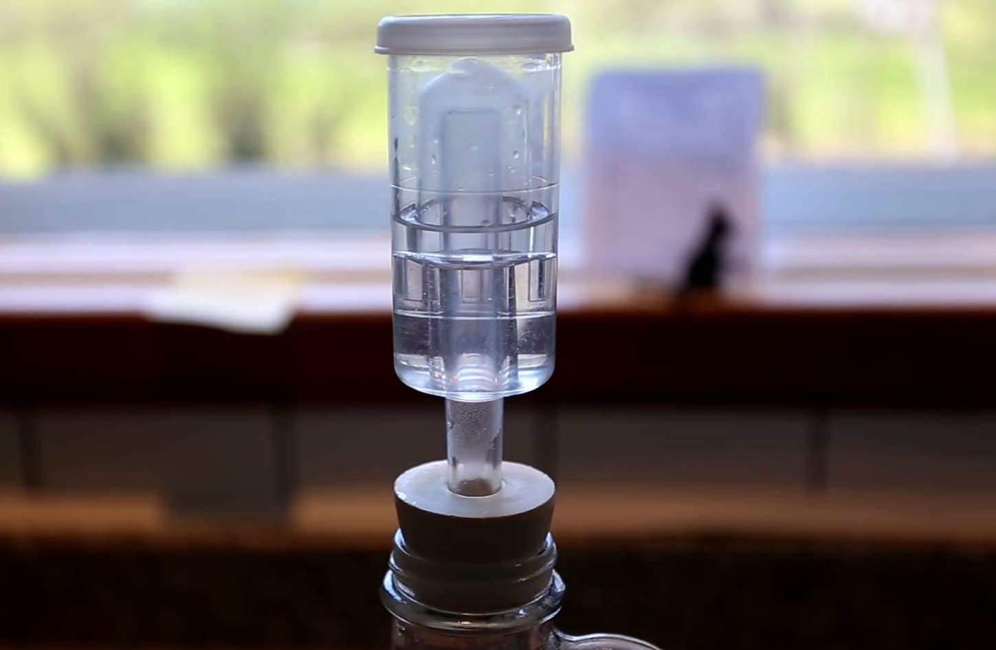 Can You Ferment Sugar Water?